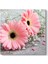 Pembe Gerbera Çiçeği Tablosu 1