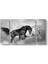 Siyah ve Beyaz At Tablosu 1