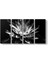 Siyah Beyaz Lotus Çiçeği Tablosu 1
