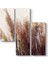Soft Pampas Tablosu 1