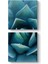Aloe Vera Kaktüs Kanvas Tablo 1