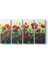 Çiçek Soyut Panorama Tablo 1