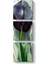 Georgia Okeeffe - Black Iris Tablosu 1