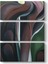 Georgia Okeeffe - Jack In The Pulpit Tablosu 1