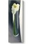 Georgia Okeeffe - Calla Lily In Tall Glass Tablosu 1