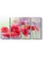 Soft Gelincikler Tablosu 1