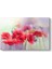 Soft Gelincikler Tablosu 1