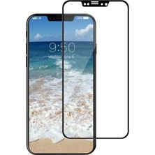 Dlrcase Apple iPhone Xs Full Kapatan Renkli Cam Siyah