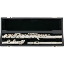 Pearl Pfa 201ES Alto Flüt