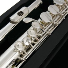 Pearl Pfa 201ES Alto Flüt