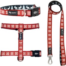 Wikipet Rudolph Red Köpek Tasma Seti Xsmall