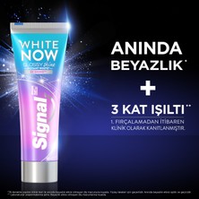 Signal  Diş Macunu  White Now Glossy Shine Anında Beyazlık +3 Kat Işıltı 75 ML