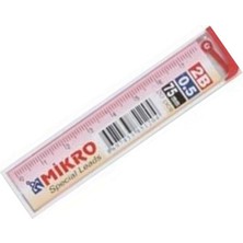 Mikro Min 0.5 mm Cetvelli Kalem Ucu 75 mm Mikro Uç 12 Adet