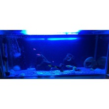 Linhart Akvaryum LED Aydınlatma Royal Mavi Renk 50 cm