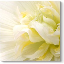 Tabloshop White Flower Iıı Tablosu