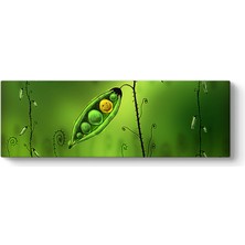 Tabloshop Gülümseyen Bezelye Tablosu