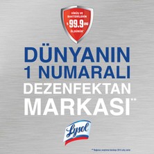 Lysol Dezenfektan Sprey Temizliğin Esintisi 3'lü, Yüzeyler için, 3x400 ml