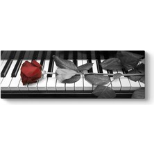 Tabloshop Piyano ve Güller Tablosu
