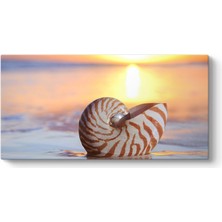 Tabloshop Deniz Kıyısında Deniz Kabuğu Tablosu