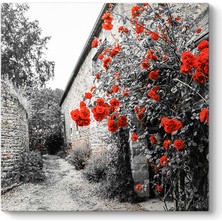 Tabloshop Kırmızı Gül Çalıları Tablosu
