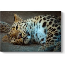 Tabloshop Leopar Tablosu