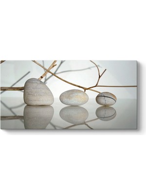 Tabloshop Taş ve Dallar Tablosu