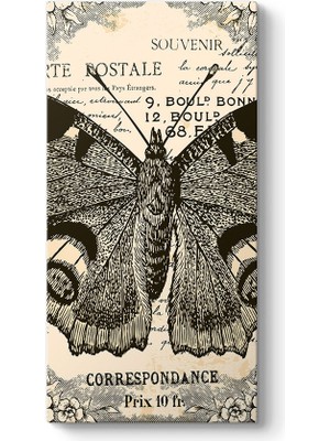 Tabloshop Kelebek Çizim Tablosu