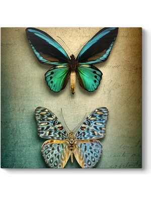 Tabloshop Neon Kelebekler Tablo