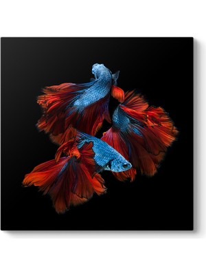 Tabloshop Neon Balıklar Tablosu