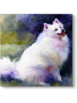 Tabloshop Sulu Boya Köpek Tablosu