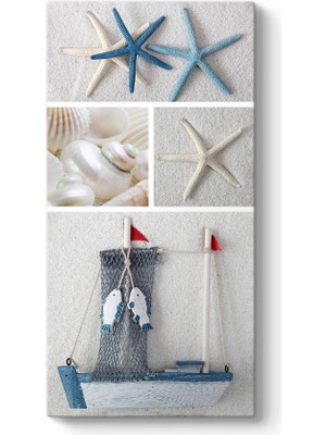 Tabloshop Deniz Yıldızı ve Kabuk Tablosu