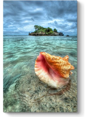 Tabloshop Ada ve Deniz Kabuğu Tablosu