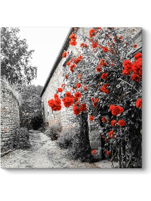 Tabloshop Kırmızı Gül Çalıları Tablosu