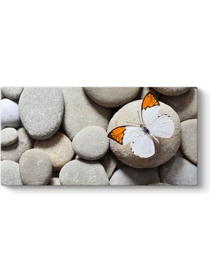 Tabloshop Çakıl Taşları ve Kelebek Tablosu