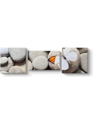 Tabloshop Çakıl Taşları ve Kelebek Tablosu