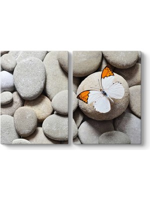 Tabloshop Çakıl Taşları ve Kelebek Tablosu