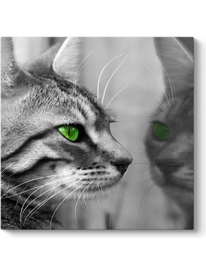 Tabloshop Yeşil Gözlü Kedi Tablosu