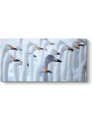 Tabloshop Ördekler Tablosu