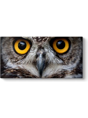 Tabloshop Baykuş Tablosu