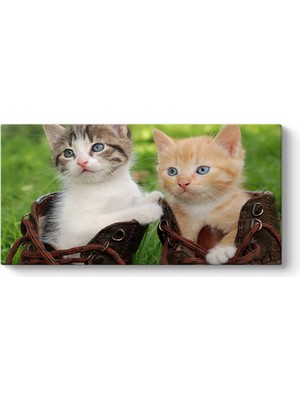 Tabloshop Sevimli Kediler Tablosu