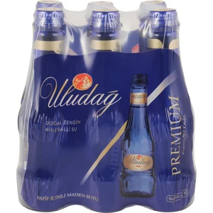 Premium Maden Suyu 250 ml 6'lı