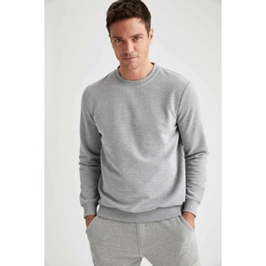 Erkek Gri Bisiklet Yaka Regular Fit Sweatshirt