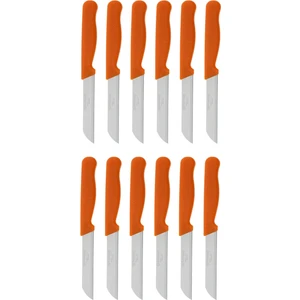 Sas Hausgerate Meyve Sebze Bıçak Seti 12'li Simli Turuncu