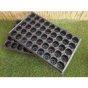 45 Gözlü 5 Adet Fide Viyolü Fide Yetiştirme Viyolleri Viyol Fidelik Tohum Ekim Kabı