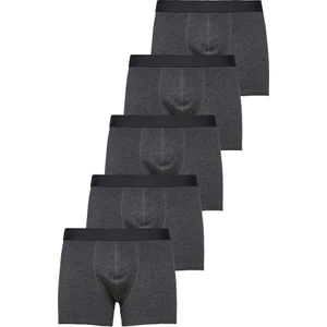 John Lion Erkek 5'li Premium Füme Likralı Boxer