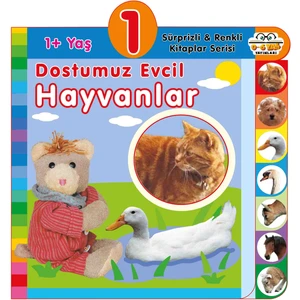 0-6 Yaş Yayınları 1 + Yaş Dostumuz Evcil Hayvanlar