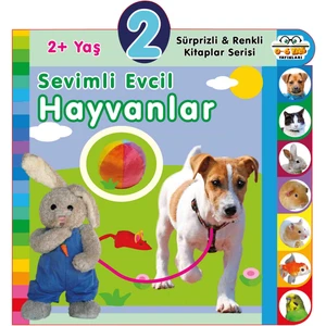 0-6 Yaş Yayınları 2 + Yaş Sevimli Evcil Hayvanlar