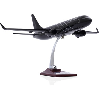 Pacmin ANA Boeing 737-800 1:100モデル PACMIN製 ANA ボーイング 737-800 型 模型 1/100スケール PACMIN製 ANA