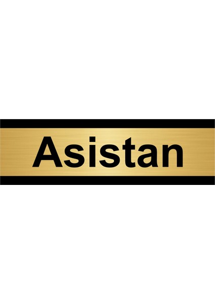 Asistan 10 x 20 cm Metal Yönlendirme Levhası