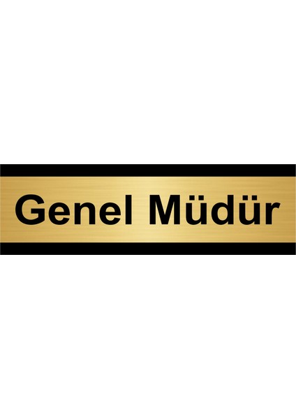 Genel Müdür 10 x 20 cm Metal Yönlendirme Levhası